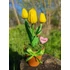 Kép 5/5 - Mesélő tulipán