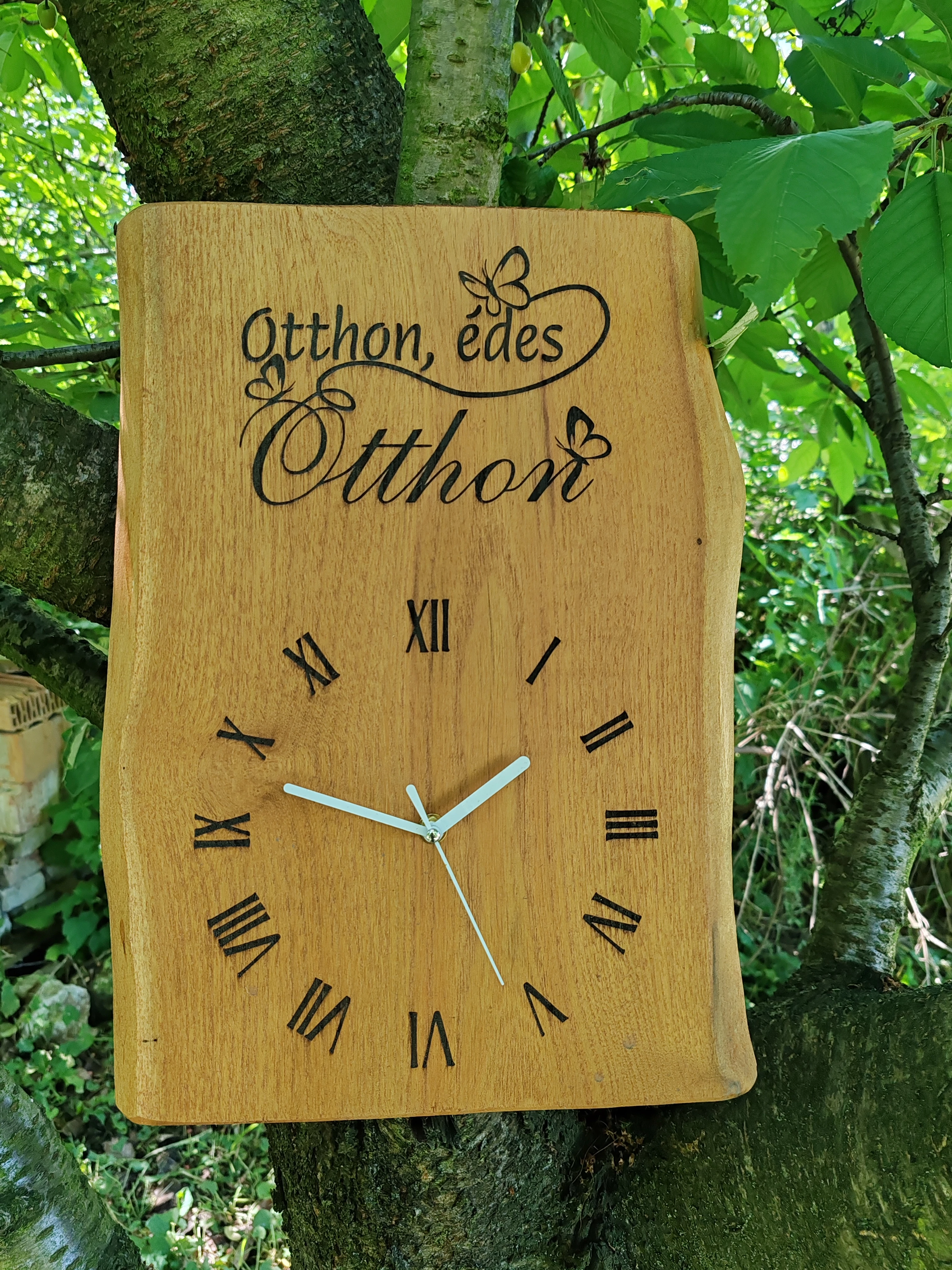Édes otthon Falióra
