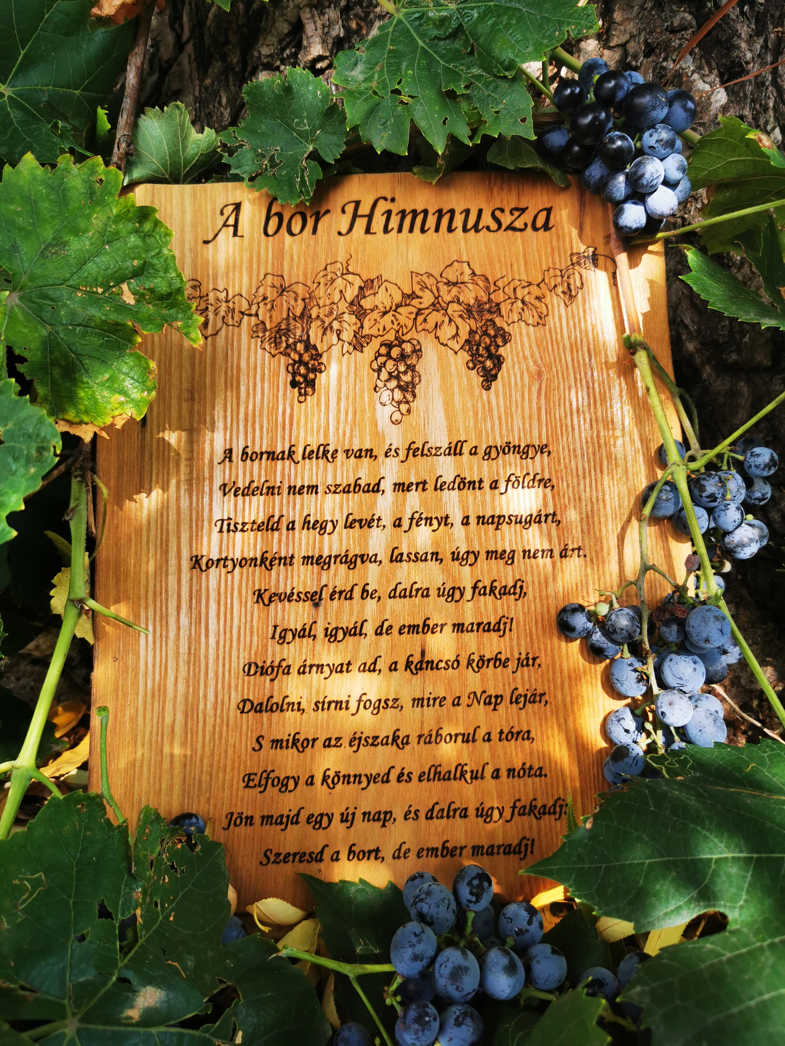 A bor himnusza – Gravírozott fatábla
