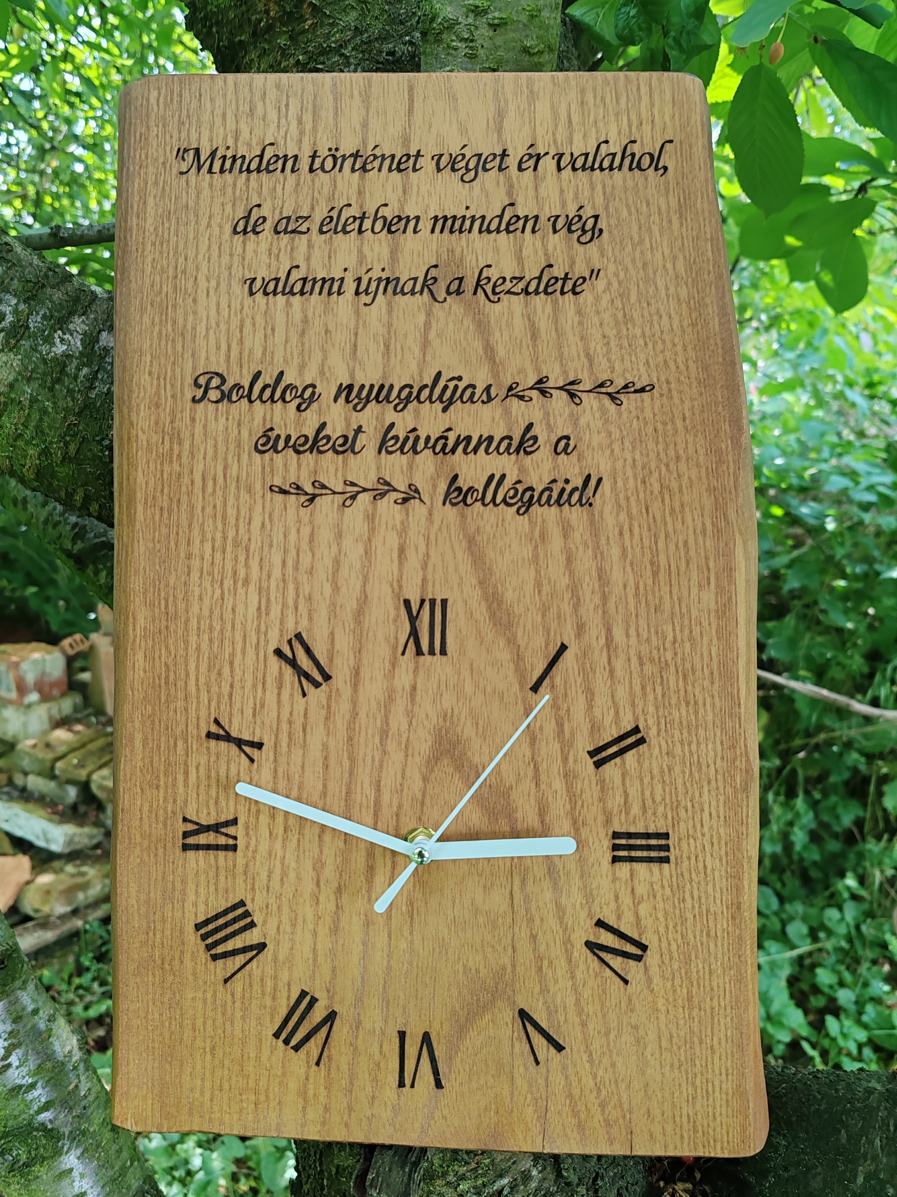 Nyugdíjas Falióra